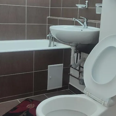 Apartment Sibiu *