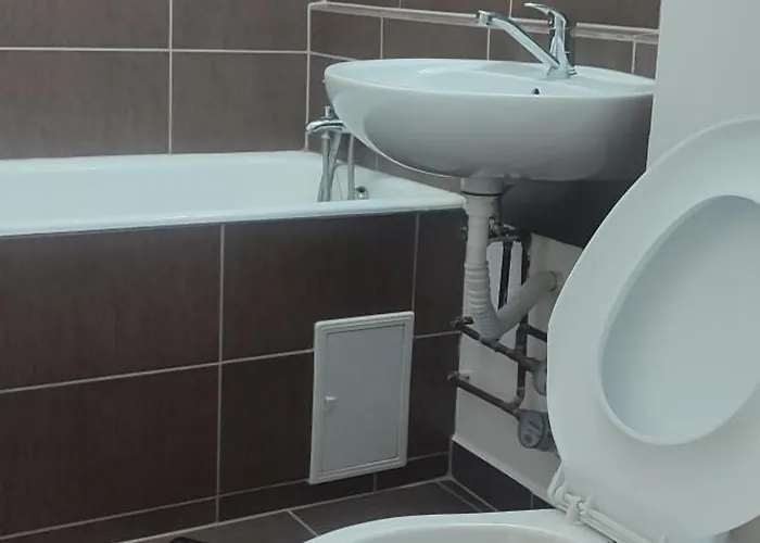Apartment Sibiu *